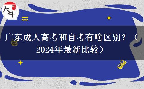 廣東成人高考和自考有啥區(qū)別？（2024年最新比較）