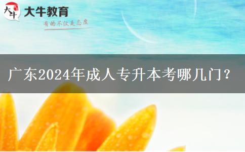 廣東2024年成人專升本考哪幾門？