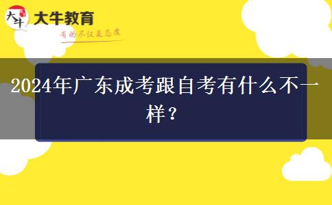 2024年廣東成考跟自考有什么不一樣？