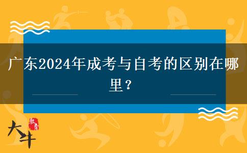 廣東2024年成考與自考的區(qū)別在哪里？