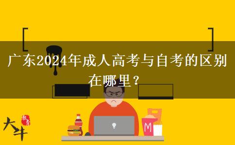 廣東2024年成人高考與自考的區(qū)別在哪里？