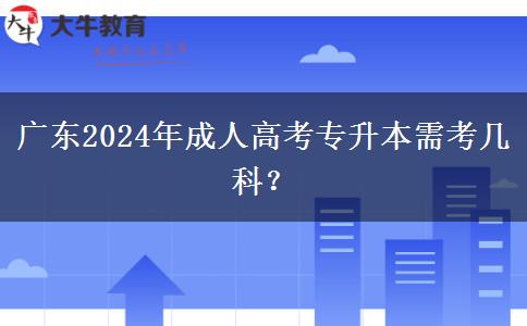 廣東2024年成人高考專升本需考幾科？