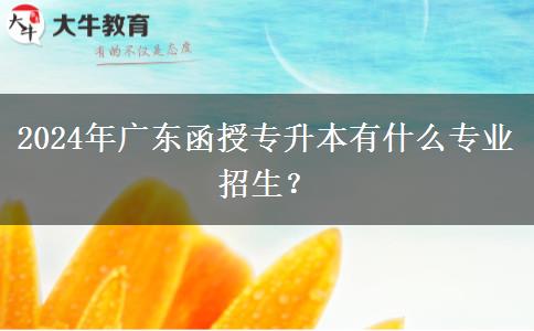 2024年廣東函授專升本有什么專業(yè)招生？