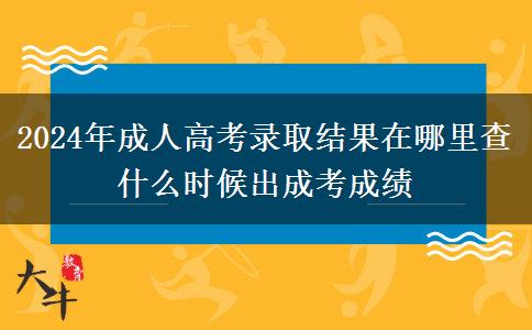 2024年成人高考錄取結(jié)果在哪里查 什么時(shí)候出成考成績(jī)