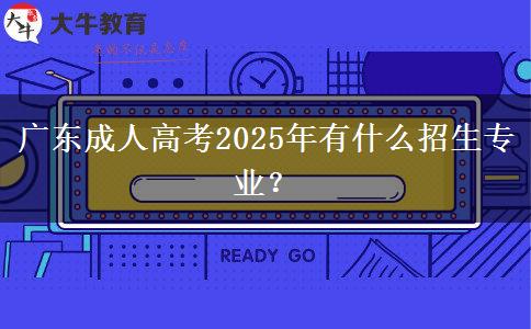 廣東成人高考2025年有什么招生專業(yè)？