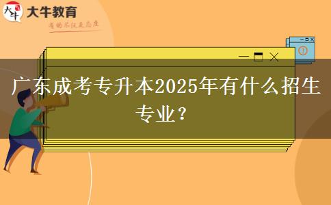 廣東成考專升本2025年有什么招生專業(yè)？