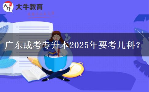 廣東成考專升本2025年要考幾科？