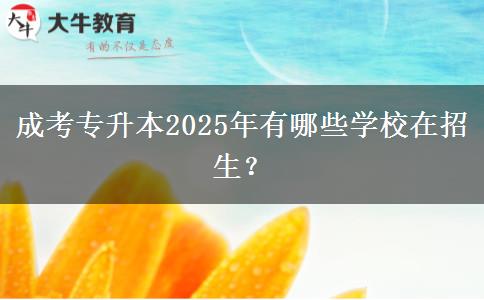 成考專升本2025年有哪些學(xué)校在招生？