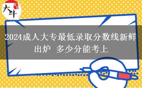 2024成人大專最低錄取分數(shù)線新鮮出爐 多少分能考上