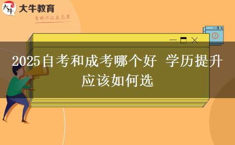 2025自考和成考哪個好 學(xué)歷提升應(yīng)該如何選