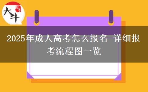2025年成人高考怎么報名 詳細(xì)報考流程圖一覽