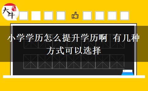 小學學歷怎么提升學歷啊 有幾種方式可以選擇