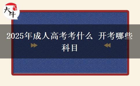 2025年成人高考考什么 開(kāi)考哪些科目