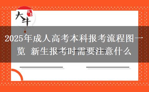 2025年成人高考本科報(bào)考流程圖一覽 新生報(bào)考時(shí)需要注意什么