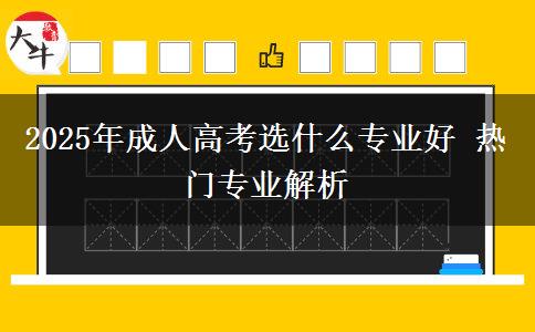 2025年成人高考選什么專業(yè)好 熱門專業(yè)解析