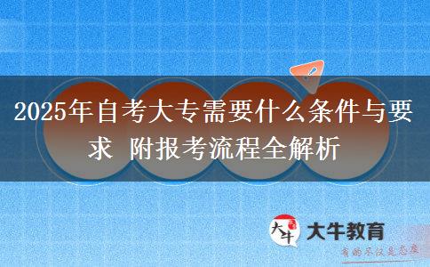 2025年自考大專需要什么條件與要求 附報考流程全解析