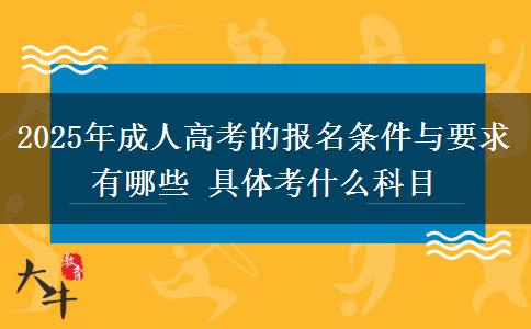 2025年成人高考的報(bào)名條件與要求有哪些 具體考什么科目