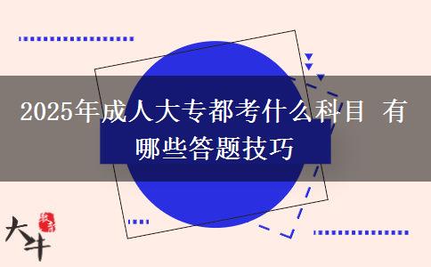 2025年成人大專都考什么科目 有哪些答題技巧