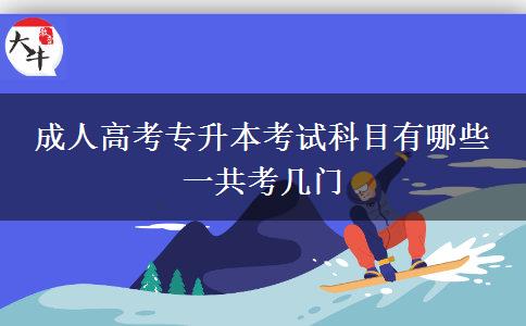 成人高考專(zhuān)升本考試科目有哪些 一共考幾門(mén)