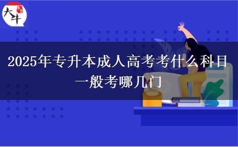 2025年專升本成人高考考什么科目 一般考哪幾門