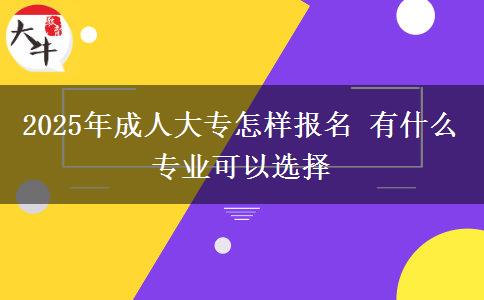 2025年成人大專怎樣報名 有什么專業(yè)可以選擇